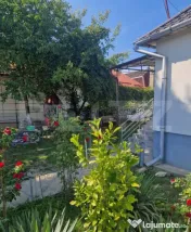 Casă cu teren în Uriu – renovată, curte, grădină și 