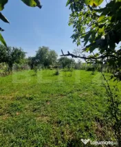 Casă cu teren în Uriu – renovată, curte, grădină și 