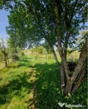 Casă cu teren în Uriu – renovată, curte, grădină și 