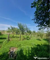 Casă cu teren în Uriu – renovată, curte, grădină și 