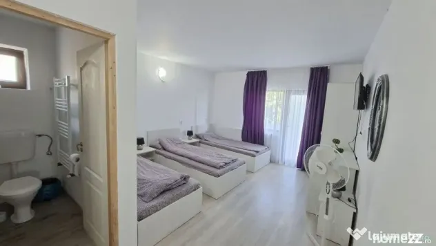 Casă-Pensiune Agroturistica spatioasa P+M Budeasa cu ved...