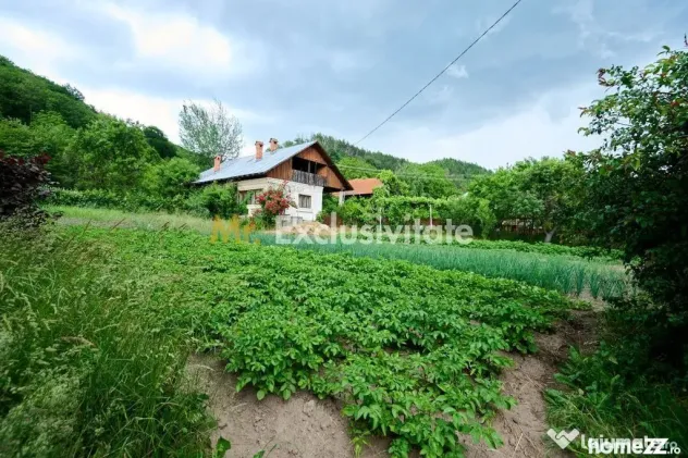 Casa cu teren generos - 4696 mp Apa Sarata - Campulung !!