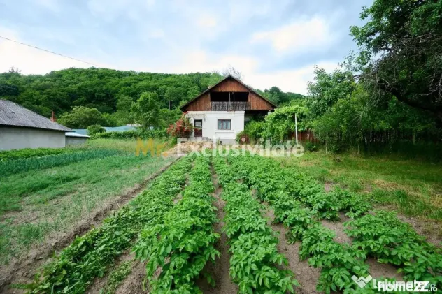 Casa cu teren generos - 4696 mp Apa Sarata - Campulung !!
