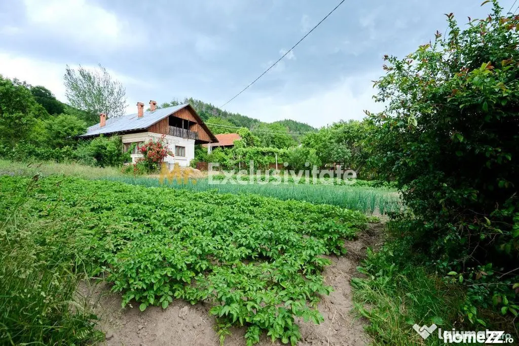 Casa cu teren generos - 4696 mp Apa Sarata - Campulung !!