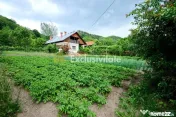 Casa cu teren generos - 4696 mp Apa Sarata - Campulung !! 