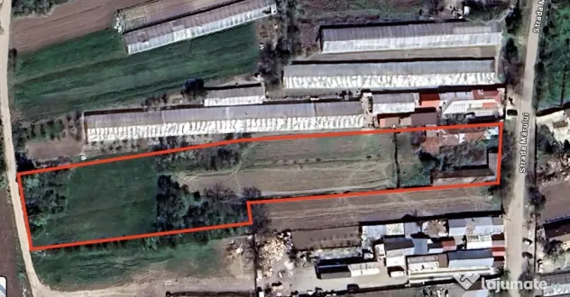 Comana, Falaștoaca - terenuri intravilane de vânzare 50...