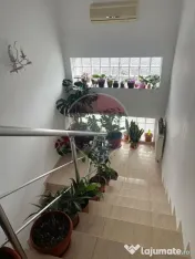 Casă 3 camere de vânzare în zona Tabacari