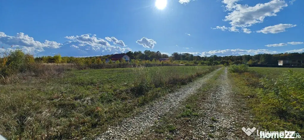 Refugiu la marginea padurii — 2822 mp de liniste in Coc...