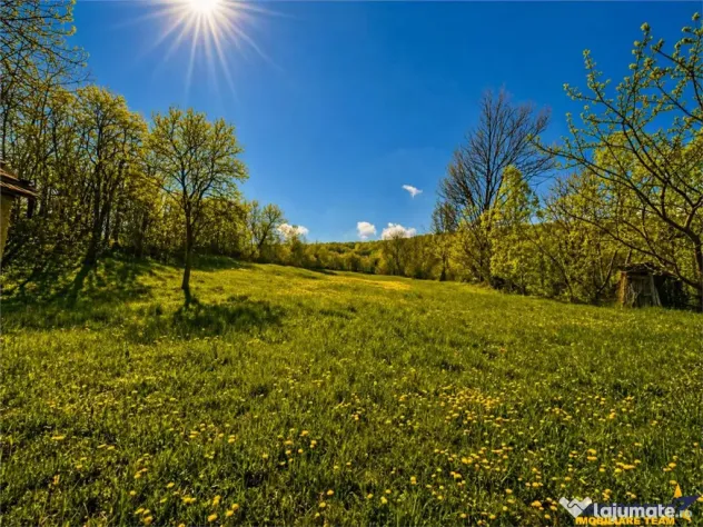 Domeniu de 3.400 mp cu traditionala casa, Suveica, Acatari M