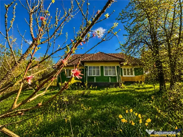 Domeniu de 3.400 mp cu traditionala casa, Suveica, Acatari M