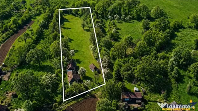 Domeniu de 3.400 mp cu traditionala casa, Suveica, Acatari M