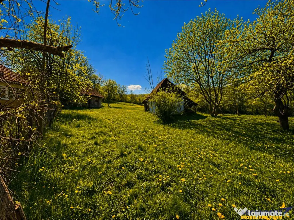 Domeniu de 3.400 mp cu traditionala casa, Suveica, Acatari M