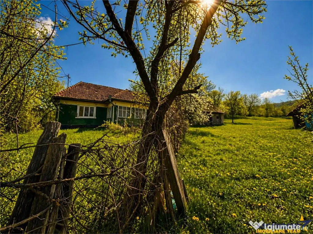 Domeniu de 3.400 mp cu traditionala casa, Suveica, Acatari M