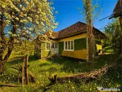 Domeniu de 3.400 mp cu traditionala casa, Suveica, Acatari M 