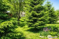 Locatie cu patru anotimpuri intr- o zi, incadrata de 2.350 t 