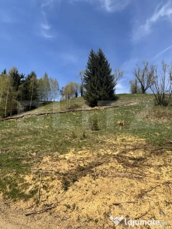 Teren intravilan, 1800 mp, str. Roșu, Vatra Dornei