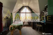 Vila individuala 7 camere cu piscina