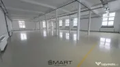 Spații de închiriat Cisnadie 
