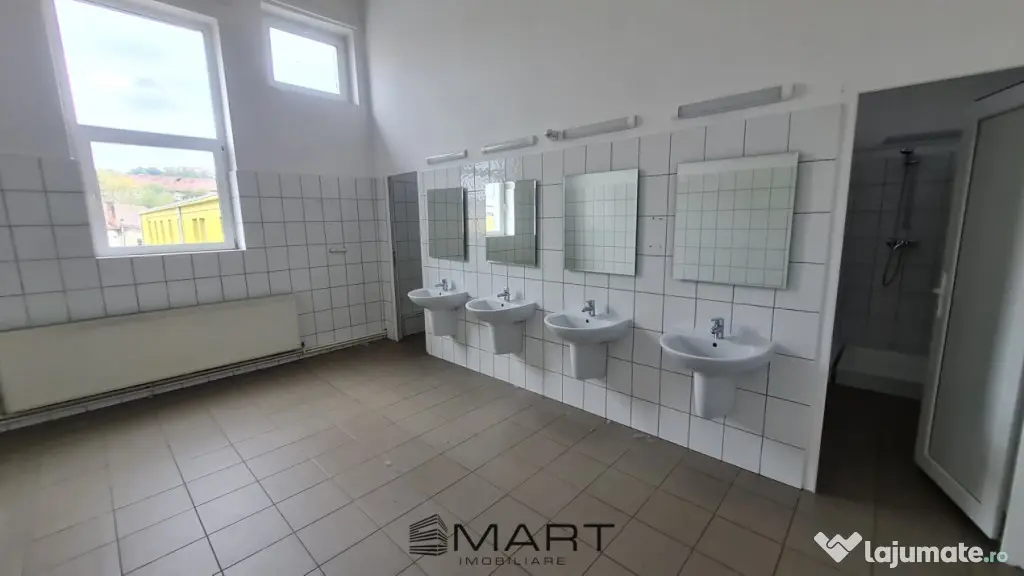 Spații de închiriat Cisnadie