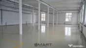 Spații de închiriat Cisnadie 