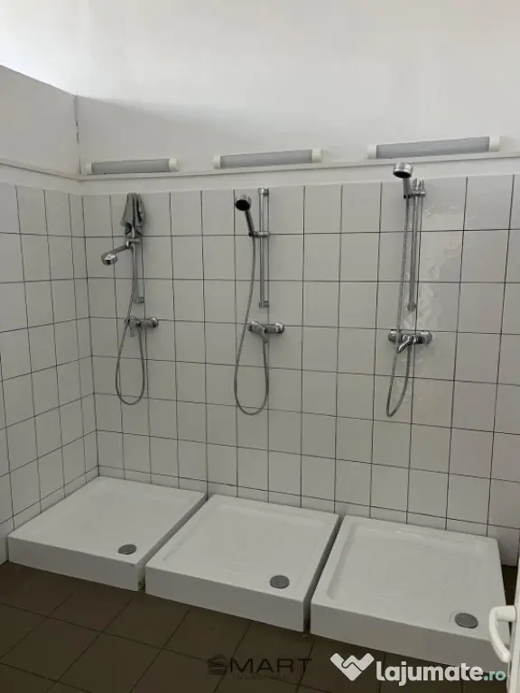 Spații de închiriat Cisnadie
