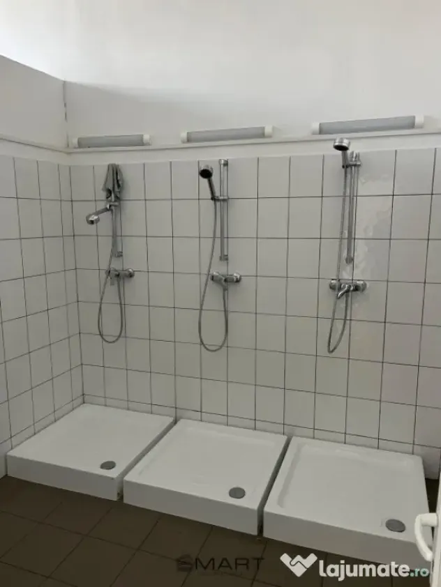 Spații de închiriat Cisnadie