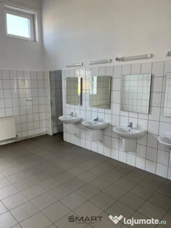 Spații de închiriat Cisnadie