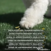 PawHut Toaletă pentru câini cu tavă detașabilă, 75 x 51 x 36,5 cm 