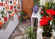 Garsoniere Turda-Ion Mihalache 