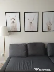 2 camere | Stefan cel Mare | Lizeanu | designer 