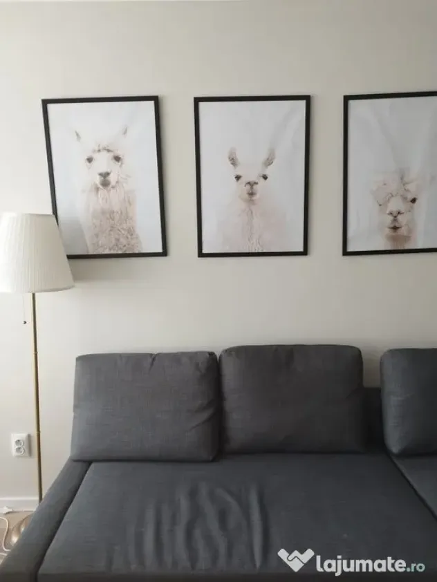 2 camere | Stefan cel Mare | Lizeanu | designer