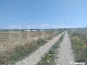 Teren intravilan, Simnicu de Sus, 5300 mp, deschidere 16,4 m