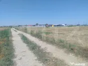 Teren intravilan, Simnicu de Sus, 5300 mp, deschidere 16,4 m