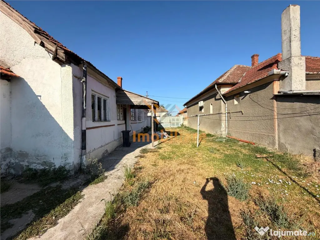 CASA PLAN PARTER | TEREN 990 MP | ACCES AUTO | ZONA TARIAN |