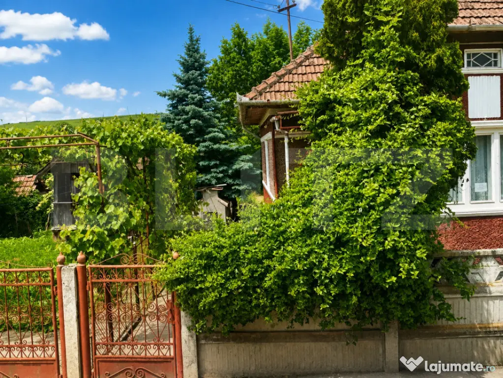 Casă tradițională cu teren de 950 mp și anexe, Zau de C?