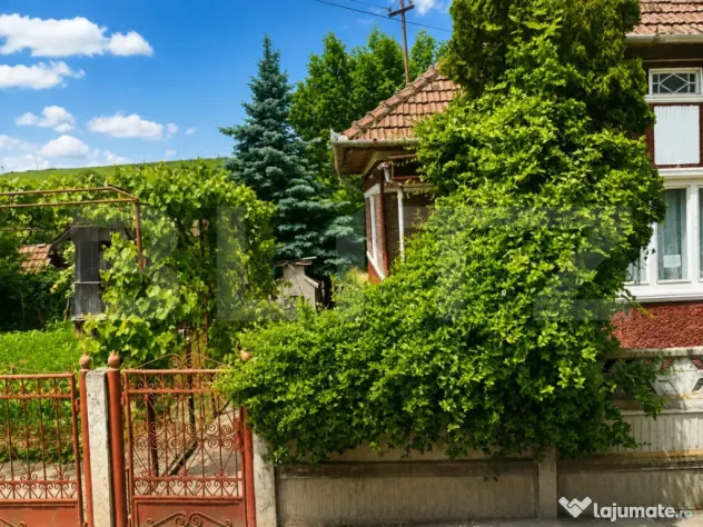 Casă tradițională cu teren de 950 mp și anexe, Zau de C?