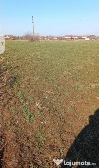 De vânzare urgent & negociabil teren 2500m în Ghermanesti Ilfov 