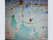 Tineretului parter viorele timpuri noi 