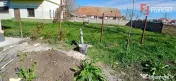 Casa individuala cu 4 camere in zona Dudestii Noi 