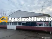 Hale Industriale de Vânzare Baicoi – 1100 mp + 800 mp, te
