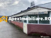 Hale Industriale de Vânzare Baicoi – 1100 mp + 800 mp, te