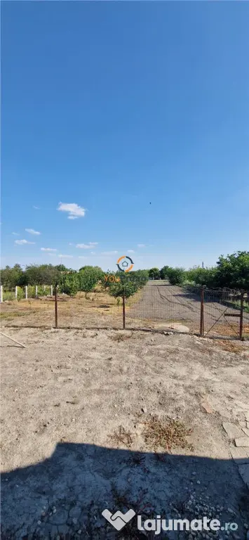 Doua Case In Curte Cenei La 28 Km De Timisoara
