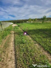 Teren 5600 mp Snagov Lac 