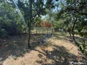 Teren intravilan de vânzare 672mp Salonta 