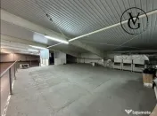 Spatiu industrial | Hala + birouri | 4.871 mp teren | Tulcea 
