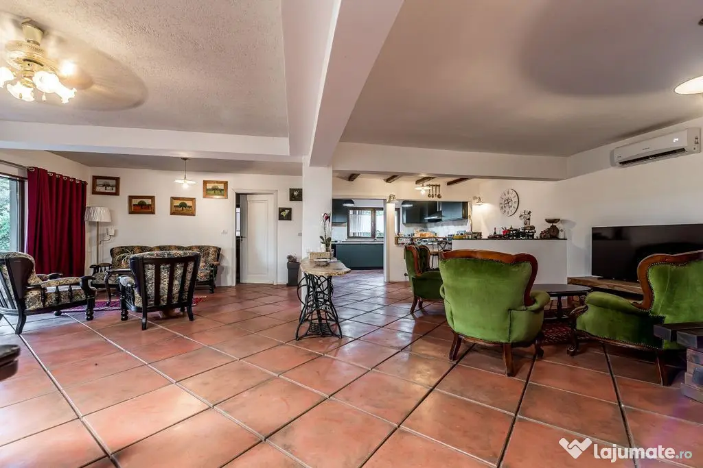 ???????? Toscana de lângă Arad | Vilă cu 12.000 mp