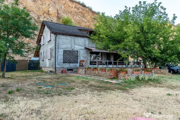 ???????? Toscana de lângă Arad | Vilă cu 12.000 mp