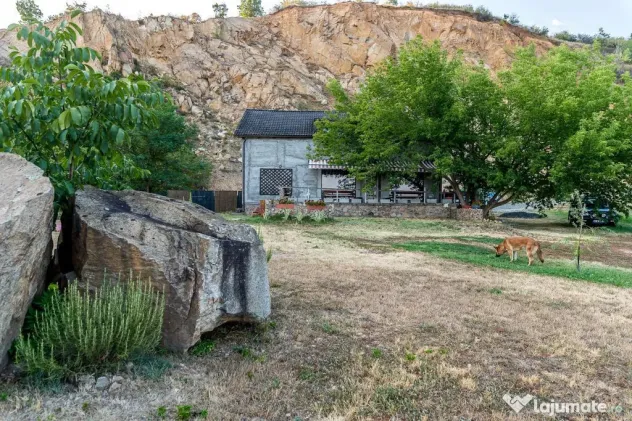 ???????? Toscana de lângă Arad | Vilă cu 12.000 mp