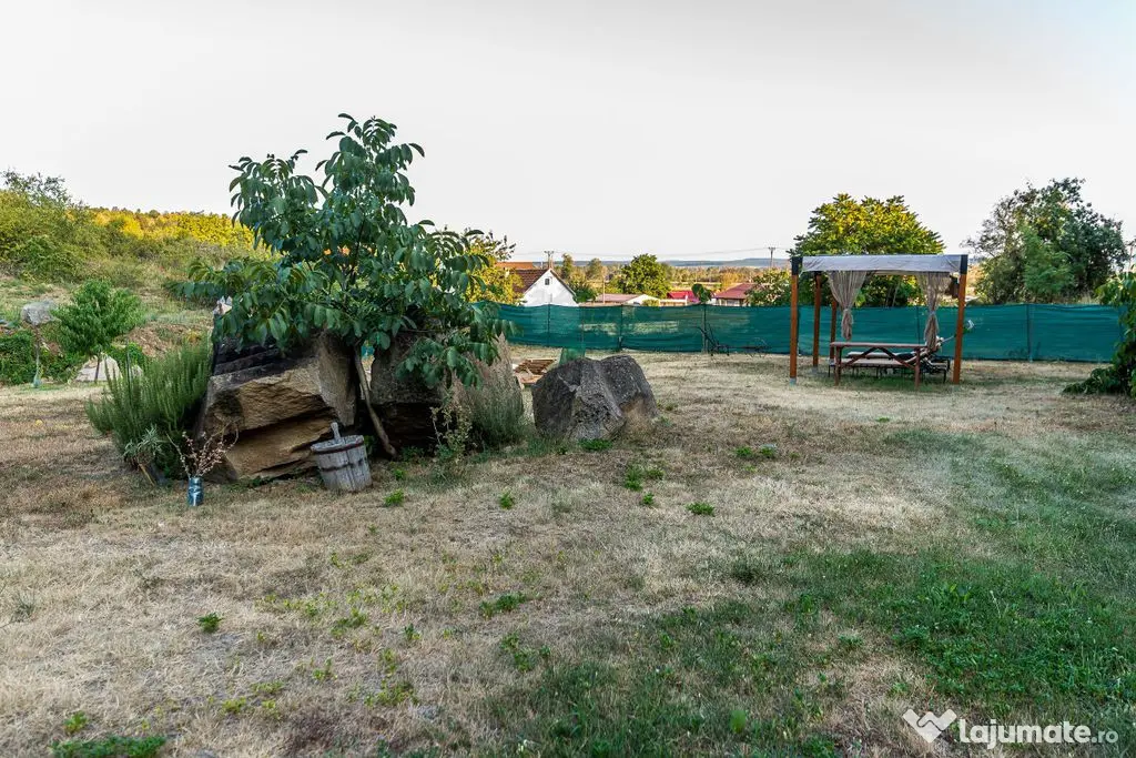 ???????? Toscana de lângă Arad | Vilă cu 12.000 mp