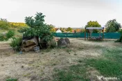 ???????? Toscana de lângă Arad | Vilă cu 12.000 mp 